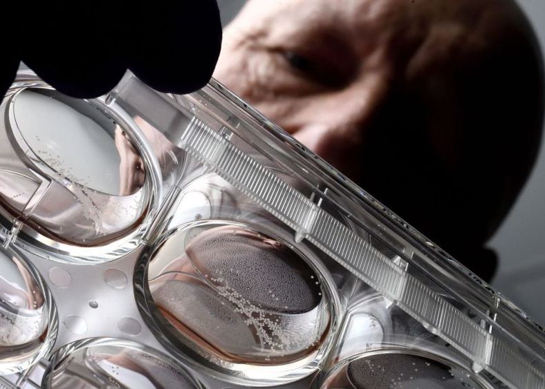 Este Inteligenta Artificiala De Domeniul Trecutului Oamenii De Stiinta Dezvolta Deja Un Nou Domeniu Zinteligenta