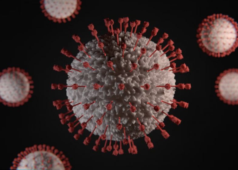 Un Virus Zzombie Readus La Viata Dupa 50 000 De Ani Este Si Acum Contagios