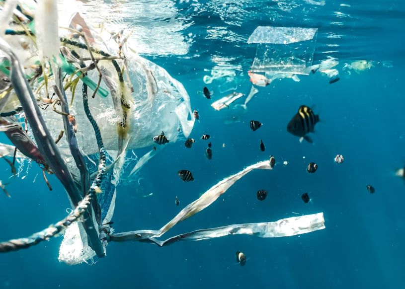 171 de trilioane de deșeuri din plastic se află acum în oceanele lumii 171 De Trilioane De Deseuri Din Plastic Se Afla Acum In Oceanele Lumii