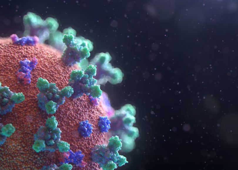 Virusuri Bizare Nemaivazute Pana Acum Descoperite In Toate Oceanele Lumii