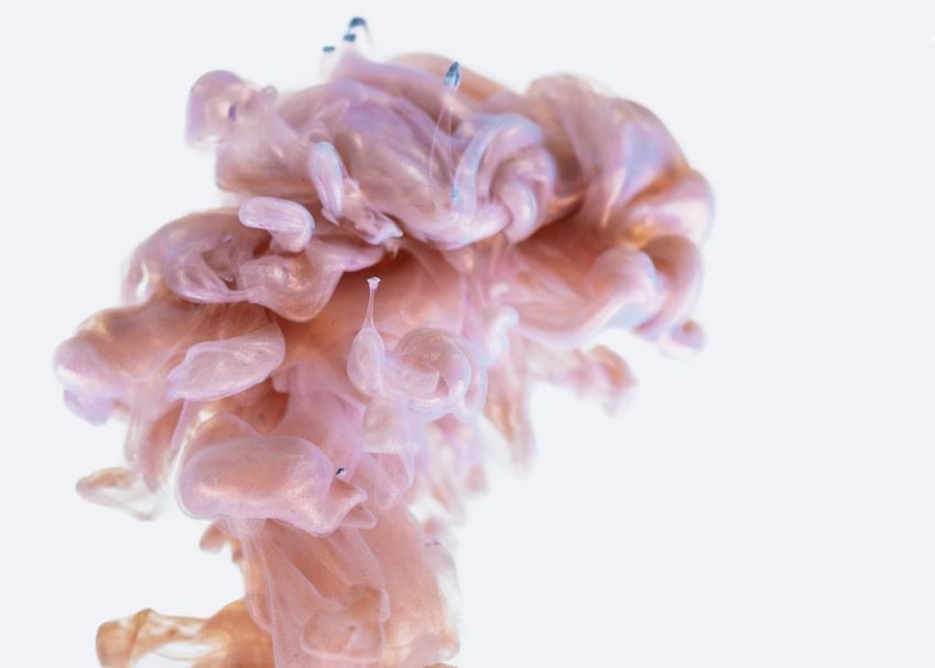 Evenimentul Absolut Intamplator Care A Avut Loc In Urma Cu Un Milion De Ani Si Care A Schimbat Creierul