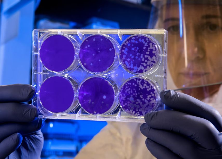 Oamenii De Stiinta Au Modificat Celulele Umane Pentru A Produce Insulina Si Au Reusit Sa Vindece Diabetul