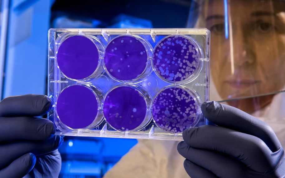 Oamenii De Stiinta Au Modificat Celulele Umane Pentru A Produce Insulina Si Au Reusit Sa Vindece Diabetul