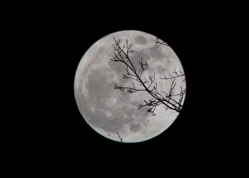 Este Posibil Ca Viata Sa Existe Deja Pe Luna Cum Vor Astronomii Sa O Gaseasca