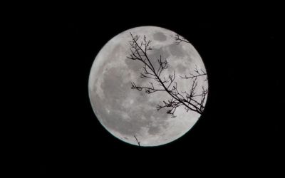 Este posibil ca viața să existe deja pe Lună. Cum vor astronomii să o găsească