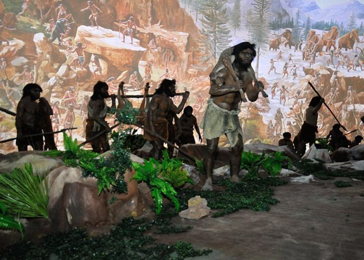 Rasturnare De Situatie In Cazul Stramosului Uman Zlucy La Ce Concluzii Au Ajuns Acum Antropologii