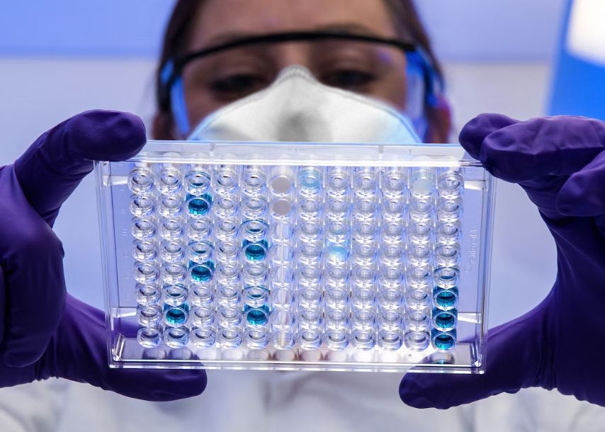 Premiera Majora In Medicina Oamenii De Stiinta Au Realizat In Laborator Embrioni Umani Sintetici