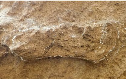 Cea Mai Veche Urma Umana Descoperita Vreodata A Fost Identificata In Africa De Sud