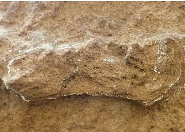 Cea mai veche urmă umană descoperită vreodată a fost identificată în Africa de Sud. Datează de mai bine de 150.000 de ani Cea Mai Veche Urma Umana Descoperita Vreodata A Fost Identificata In Africa De Sud