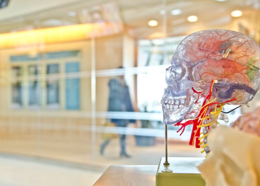 Actiunea Extrem De Simpla Ce Reduce Riscul De A Dezvolta Dementa