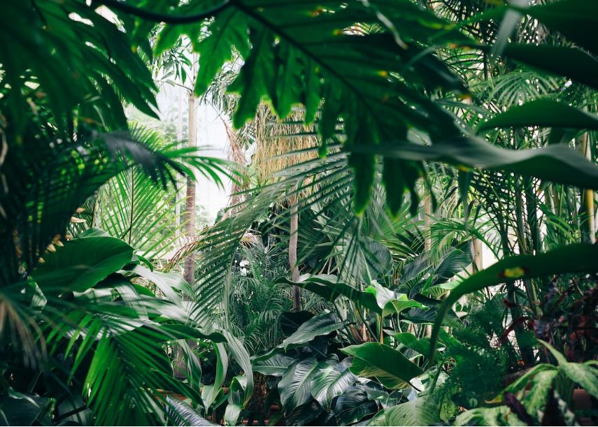 O Zexplozie De Forme De Viata Are Loc Pe Pamant La Fiecare 36 De Milioane De Ani Acum Stim Si De Ce