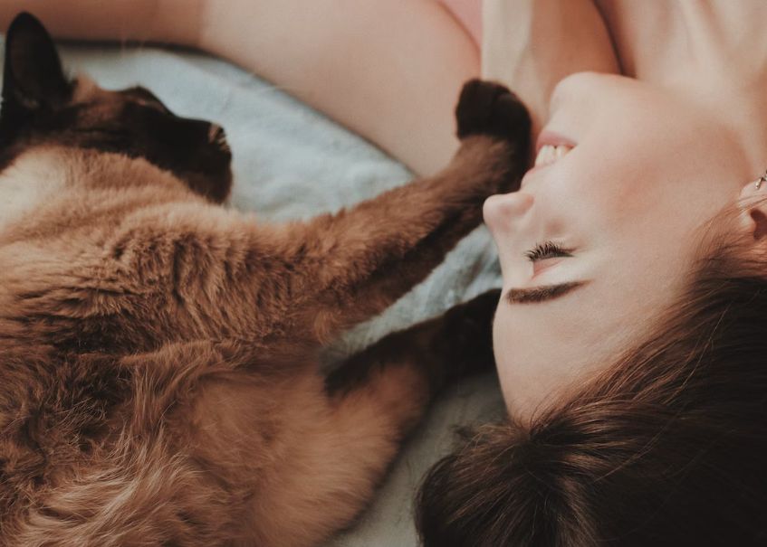 Cum Ar Putea Inteligenta Artificiala Sa Ne Ajute Sa Vorbim Cu Animalele