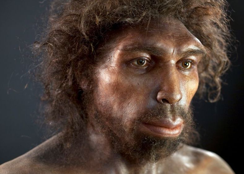 Omenirea Aproape Ca A Disparut Complet In Urma Cu 900 000 De Ani Ce S A Intamplat Atunci