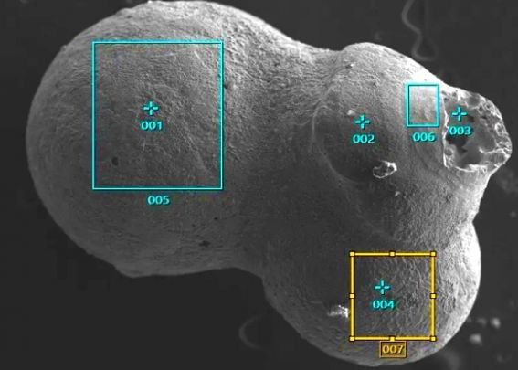 Mostra De Materie Gasita In Ocean Care Ii Intriga Pe Astronomi Znu Provine Din Acest Sistem Solar