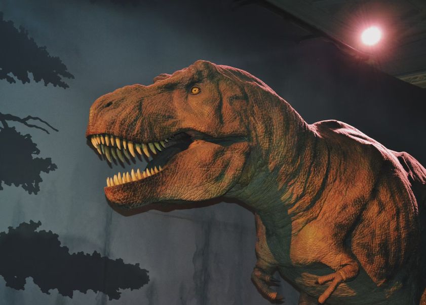 Forma De Viata Ce Trait Mai Mult Decat Dinozaurii Si Care Poate Sa Supravietuiasca Inclusiv Speciei Umane