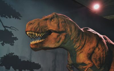 Forma de viață ce trăit mai mult decât dinozaurii și care poate să supraviețuiască inclusiv speciei umane. Crește în orice grădină 