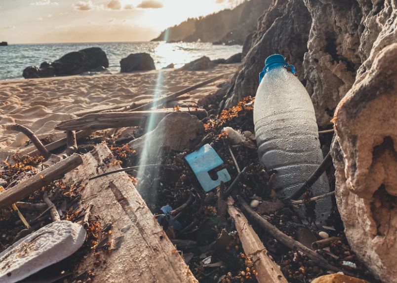 Oamenii inhalează în fiecare săptămână o cantitate de microplastice echivalentă cu dimensiunea unui card de credit Oamenii Inhaleaza In Fiecare Saptamana O Cantitate De Microplastice Echivalenta Cu Dimensiunea Unui Card