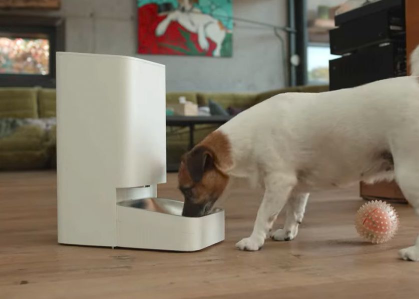 Xiaomi Smart Pet Food Feeder Rasfat Zilnic Pentru Animalul Tau De Companie