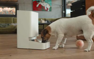 Xiaomi Smart Pet Food Feeder, răsfăț zilnic pentru animalul tău de companie
