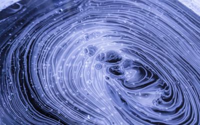 Cum influențează senzația de foame procesul de luare a deciziilor. Este dovedit științific 