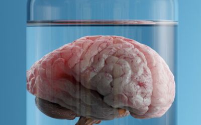 Gadgetul care poate menține creierul în viață, chiar dacă este separat de trup