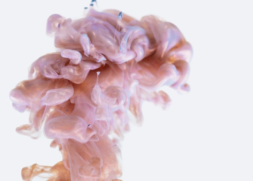 Organul Zinutil Pe Care Medicii Il Indeparteaza Adesea Ar Putea Lupta Impotriva Cancerului