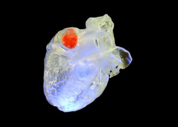 Imprimanta 3d Cu Ultrasunete Care Ar Putea Repara Organele Fara Operatie