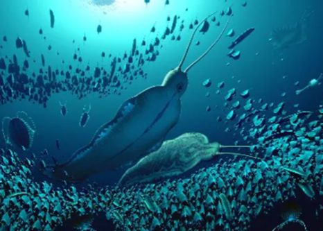 Fosilele vechi de 500 de milioane de ani ale unei „bestii a terorii , descoperite în Groenlanda  Fosilele Vechi De 500 De Milioane De Ani Ale Unei Zbestii A Terorii Descoperite In Groenlanda