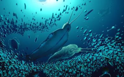 Fosilele vechi de 500 de milioane de ani ale unei „bestii a terorii , descoperite în Groenlanda 