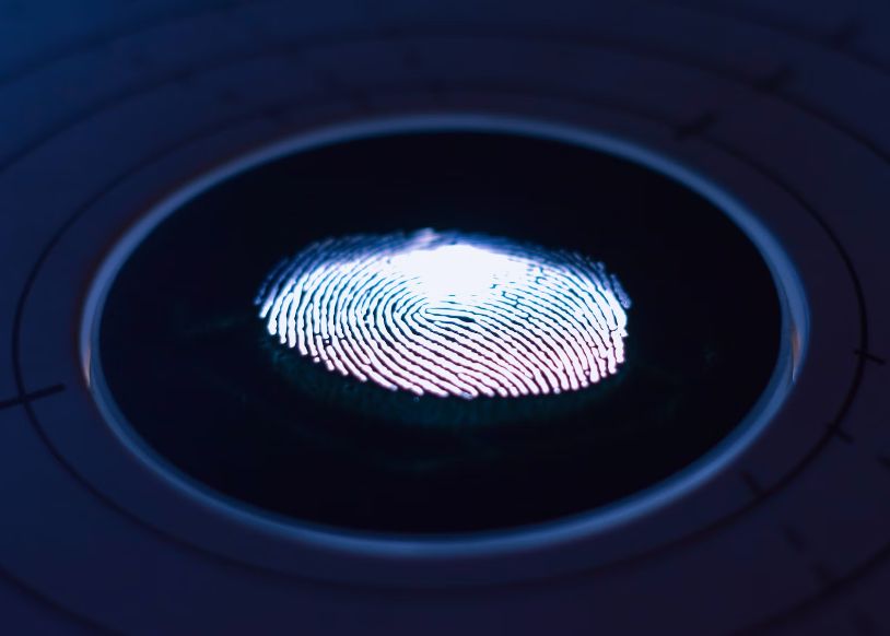 Studiu Surprinzator Amprentele Par Sa Nu Fie Unice Asa Cum Credeam