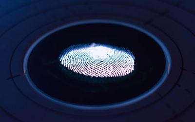 Studiu surprinzător: amprentele par să nu fie unice, așa cum credeam