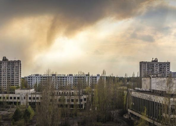 Ce Se Intampla Cu Lupii Din Zona Cernobil La Aproape 40 De Ani De La Catastrofa Nucleara