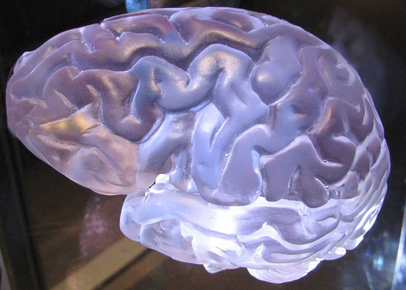 Care ar putea fi cauza efectului de lungă durată de „brain fog” ce a apărut la mulți dintre oamenii care au suferit de COVID Care Ar Putea Fi Cauza Efectului De Lunga Durata De Zbrain Fog Ce A Aparut La Multi Dintre Oamenii Care