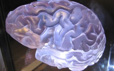 Care ar putea fi cauza efectului de lungă durată de „brain fog” ce a apărut la mulți dintre oamenii care au suferit de COVID 