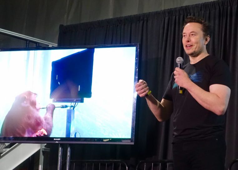 Omul căruia i-a fost implantat pe creier cipul Neuralink ar fi capabil să „controleze un mouse doar prin puterea gândului”  Omul Caruia I A Fost Implantat Pe Creier Cipul Neuralink Ar Fi Capabil Sa Zcontroleze Un Mouse Doar Prin