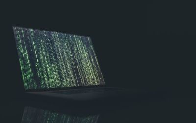 Platforma AI care îți poate precize etapele vieții, inclusiv moartea