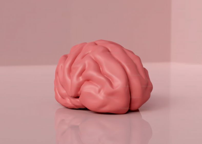 Generațiile mai tinere par să aibă un creier mai mare. Ce înseamnă acest lucru pentru omenire Generatiile Mai Tinere Par Sa Aiba Un Creier Mai Mare Ce Inseamna Acest Lucru Pentru Omenire